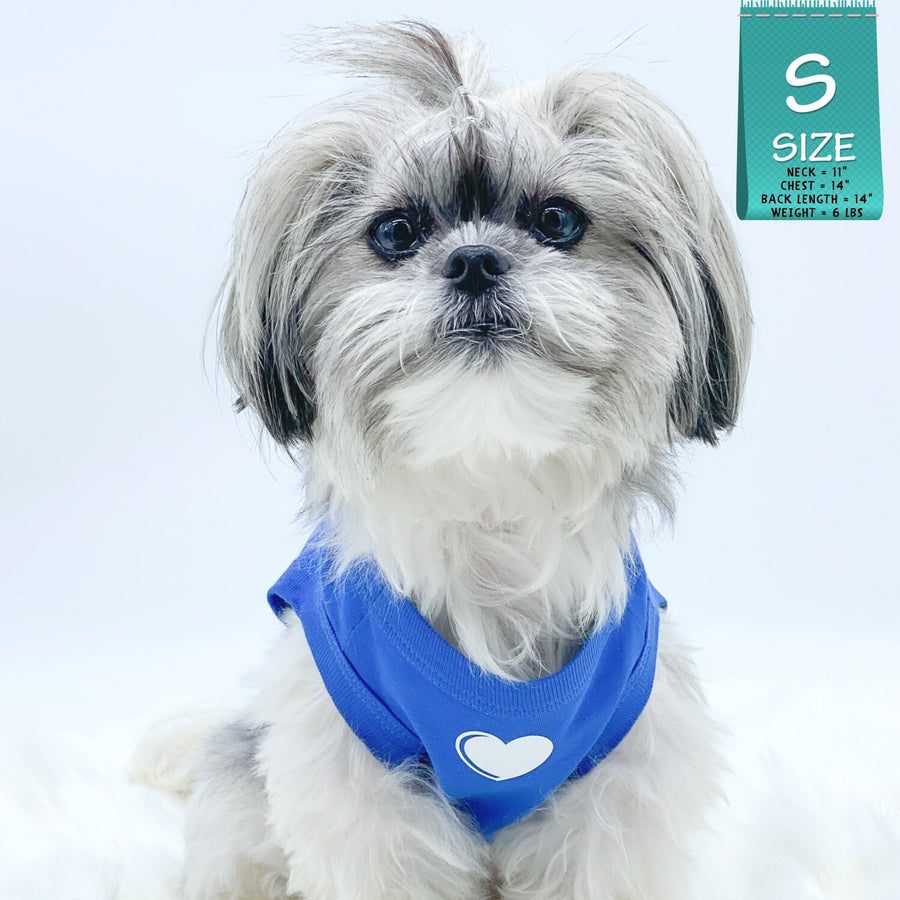 Dog T-Shirt - Shih Tzu mix wearing "Spoiled" dog t-shirt in royal blue with a solid white heart emoji on chest - against solid white background - Wag Trendz