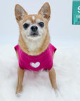 Dog T-Shirt - Chihuahua wearing "Spoiled" dog t-shirt in hot pink with a solid white heart emoji on chest - against solid white background - Wag Trendz