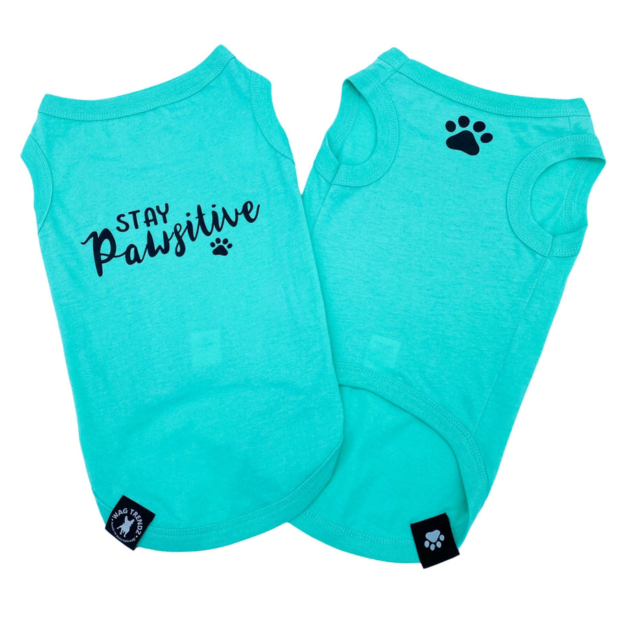 Dog T-Shirt - "Stay Pawsitive" - Teal dog t-shirt set - Stay Pawsitive lettering in black with paw print and a paw print emoji in black on chest - against solid white background - Wag Trendz