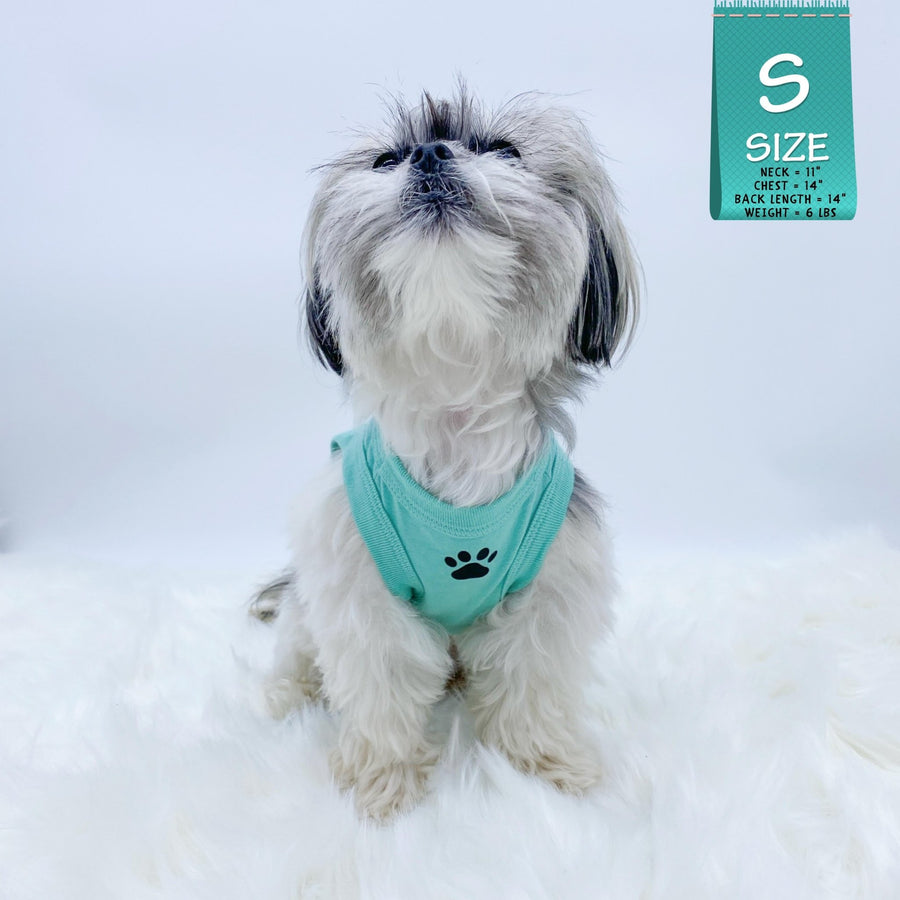 Dog T-Shirt - Shih Tzu mix looking up wearing "Stay Pawsitive" teal dog t-shirt - with a paw print emoji in black on chest - against solid white background - Wag Trendz
