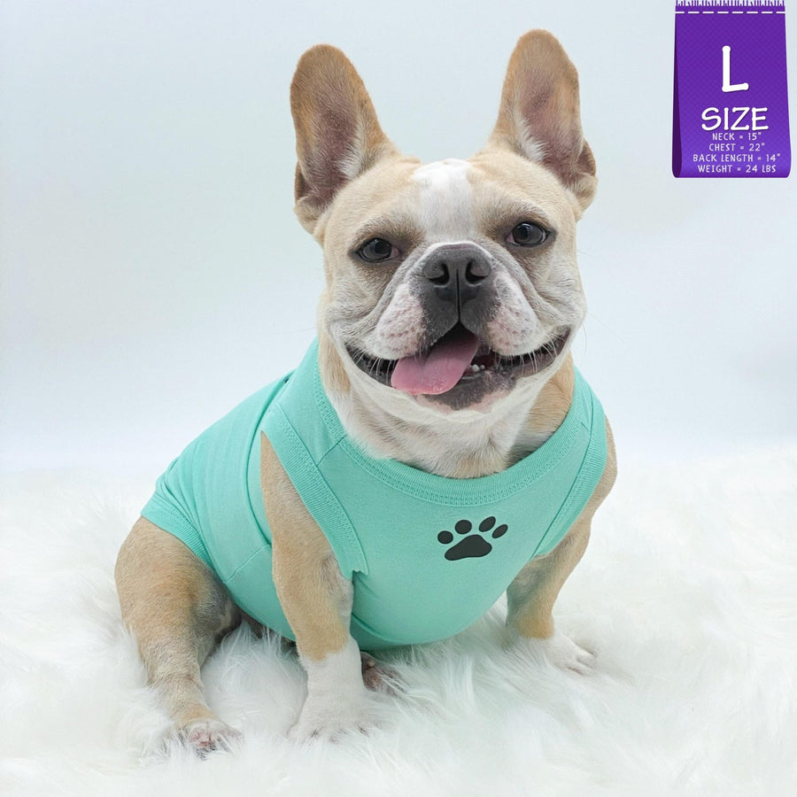 Dog T-Shirt - French Bulldog wearing "Stay Pawsitive" teal dog t-shirt - with paw print emoji in black on chest - against solid white background - Wag Trendz