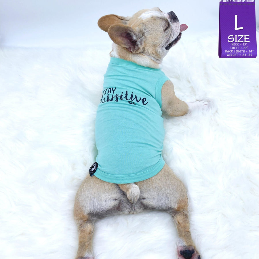 Dog T-Shirt - French Bulldog laying down panting wearing "Stay Pawsitive" teal dog t-shirt - with "Stay Pawsitive" lettering in black on back - against solid white background - Wag Trendz