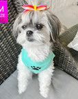 Dog T-Shirt - Shih Tzu mix sitting up wearing "Stay Pawsitive" teal dog t-shirt - with a paw print emoji in black on chest - sitting outdoors in a chair - Wag Trendz