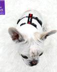 H Dog Harness - Roman Dog Harness - French Bulldog wearing black and white XO pattern harness with red accents - top view - against solid white background - Wag Trendz
