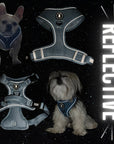 Harness and Leash Set + Poop Bag Holder - French Bulldog and Shih Tzu mix wearing Downtown Denim Dog Harness in low light conditions to show the reflective accents of the harness - with black galaxy background - Wag Trendz