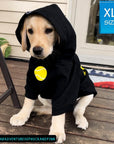 Hooded Sweatshirt For Dogs - Yellow Lab Puppy wearing Ball Brain hooded sweatshirt with hood on - black with yellow ball sitting outside on a deck - Wag Trendz