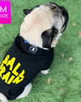 Hooded Sweatshirt For Dogs - Pug wearing Ball Brain hooded sweatshirt - black with yellow writing - sitting outdoors in the grass- Wag Trendz
