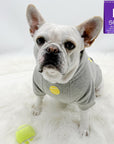 Hooded Sweatshirt For Dogs - French Bulldog wearing Ball Brain hooded sweatshirt - gray with yellow tennis ball and writing against a solid white background and a tennis ball laying on the furry white rug - Wag Trendz