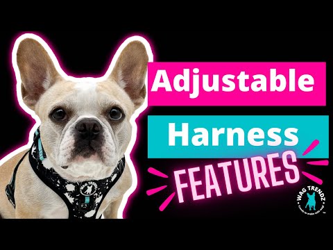 Dog Harness Vest - Adjustable - Front Clip - product feature videos - Wag Trendz