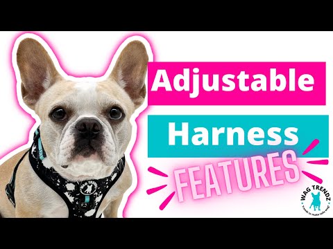 Dog Harness Vest - product feature video of dog harness features - Wag Trendz