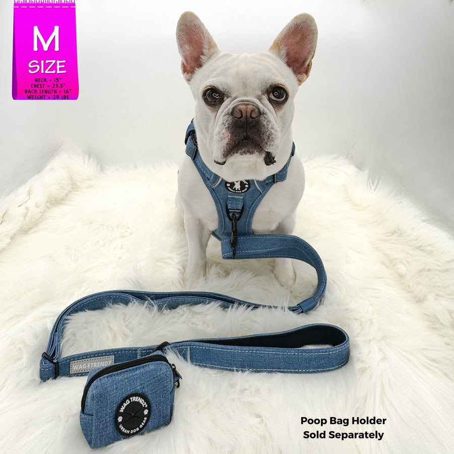 No Pull Dog Harness and Least Set - Frenchie Bulldog wearing Downtown Denim Dog Harness with matching denim leash and poop bag holder attached - against a solid white background - Wag Trendz
