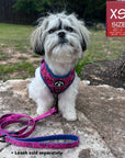 No Pull Dog Harness - Shih Tzu wearing Bandana Boujee Hot Pink No Pull Dog Harness with Denim Accents with matching leash attached - sitting outdoors on a rock - Wag Trendz