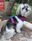 No Pull Dog Harness - Shih Tzu wearing Bandana Boujee Hot Pink No Pull Dog Harness with Denim Accents - side view - sitting outdoors on a rock - Wag Trendz