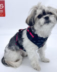 No Pull Dog Harness - Shih Tzu mix wearing black and gray camo no pull dog harness with hot pink accents and a front clip for no pull training - against a solid white background - Wag Trendz