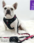 No Pull Dog Harness - French Bulldog wearing black and gray camo no pull dog harness with hot pink accents and a front clip for no pull training and a matching leash and poop bag holder attached- against a solid white background - Wag Trendz