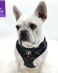 No Pull Dog Harness - French Bulldog wearing black and gray camo no pull dog harness with hot pink accents and a front clip for no pull training - against a solid white background - Wag Trendz