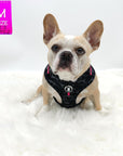 No Pull Dog Harness - Frenchie Bulldog wearing black and gray camo no pull dog harness with hot pink accents and a front clip for pull training - against a solid white background - Wag Trendz