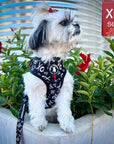 No Pull Dog Harness - Adjustable - Front Clip - small dog wearing black no pull dog harness with white XO's and red accents with matching dog leash - outside with red flowers and a metal silo in the background - Wag Trendz
