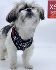 No Pull Dog Harness - Adjustable - Front Clip - small dog wearing black no pull harness with white XO's and red accents - against a solid white background - Wag Trendz