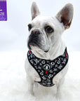 No Pull Dog Harness - Adjustable - Front Clip - Frenchie Bulldog wearing no pull dog harness black with white XO's with red accents - front view - against a solid white background - Wag Trendz