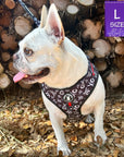 No Pull Dog Harness - Adjustable - Front Clip - French Bulldog wearing black no pull dog harness with white XO's and red accents - standing outside in front of wood pile and leaves - Wag Trendz