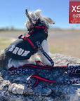No Pull Dog Harness - Adjustable - Front Clip - Small dog wearing black no pull dog harness with white XO's and red accents and a Bruh graphic dog t-shirt- back view - sitting on a rock outdoors - Wag Trendz