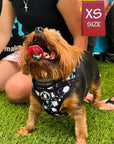 No Pull Dog Harness - Yorkshire Terrier wearing black no pull dog harness with white paint splatter and teal accents - front clip for no pull training - standing outdoors in the grass - Wag Trendz