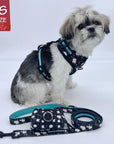 No Pull Dog Harness - Shih Tzu mix wearing black no pull dog harness - white paint splatter and teal accents with matching dog leash and poop bag holder - against a solid white background - Wag Trendz