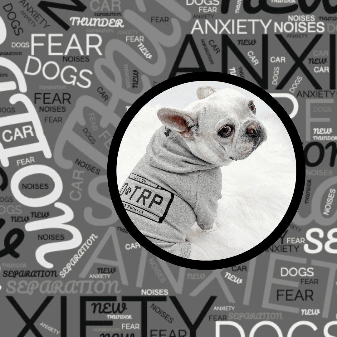 Anxiety In Dogs: 19 Key Signs You Shouldn't Ignore - French Bulldog wearing gray Road Trip dog hoodie - against a gray, black and white background with anxiety related words - Wag Trendz®