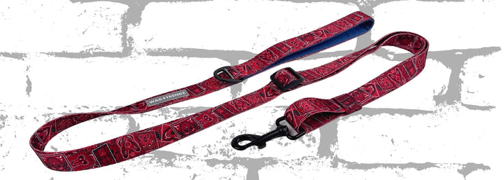 Adjustable Dog Leashes - Red Bandana Adjustable Dog Leash - against gray brick wall background - Wag Trendz®