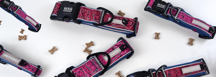 Cool Dog Collars - Pink and Red Reflective Dog Collars in small, medium and large laying randomly with small dog bones scattered about - against solid white background - Wag Trendz®