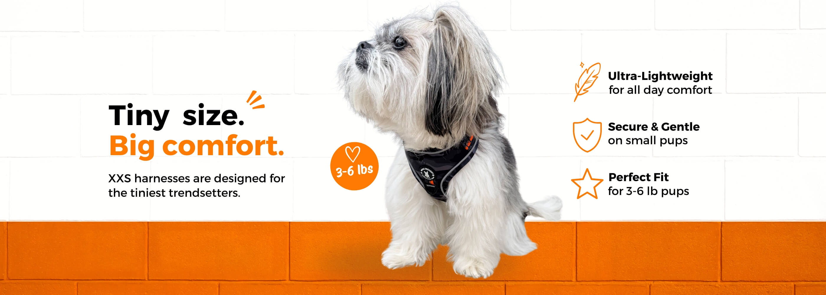 XXS Dog Harness | Secure & Comfortable Harness for Tiny Dogs