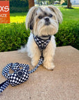 Adjustable dog leash with matching harness on a Shih Tzu mix and poop bag holder sitting outdoors