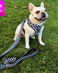 Adjustable dog leash with matching harness on a cream French Bulldog sitting outdoors in the grass