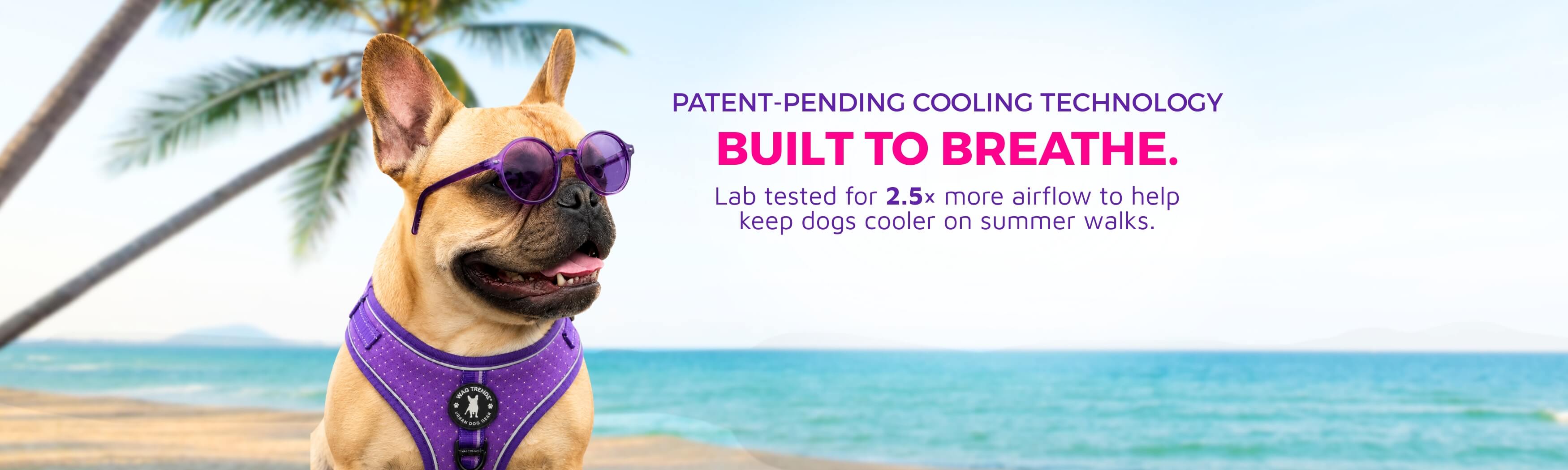 Wag Trendz® | No Pull Dog Harnesses, Collars, Leashes & Hoodies