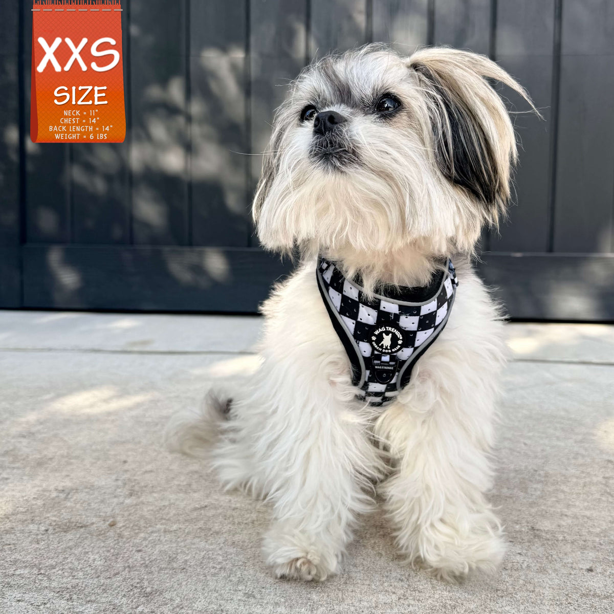 Cooling dog harness in XXS with black and white checkered design on a small fluffy dog sitting outdoors
