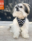 Cooling dog harness in XXS with black and white checkered design on a small fluffy dog sitting outdoors
