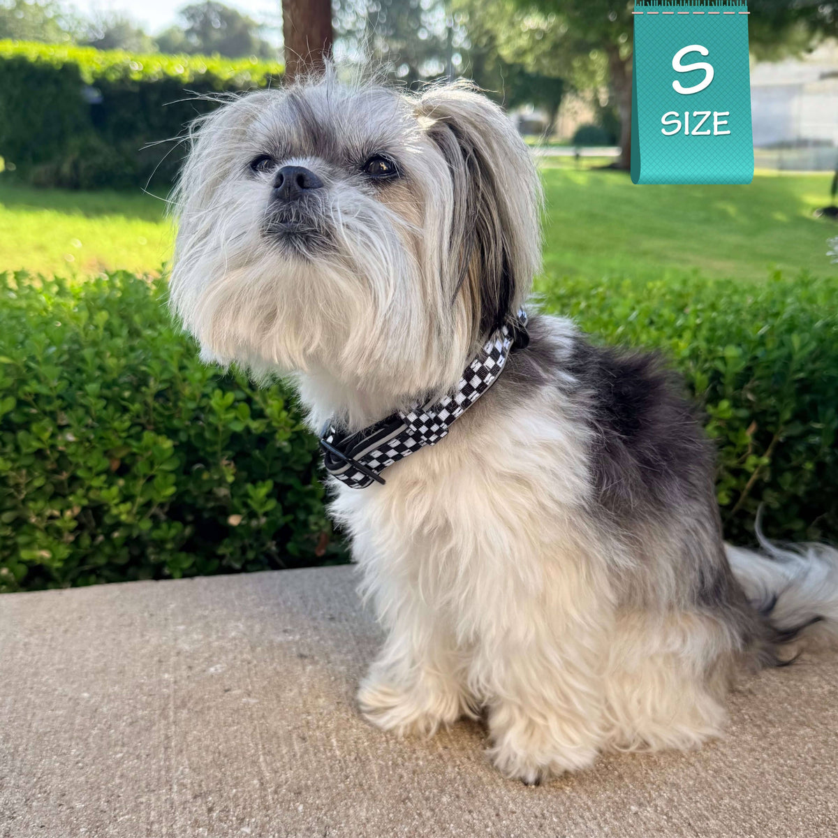 Cooling Dog Harness | NeoCool™ Grid &amp; Grit