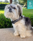 Cooling Dog Harness | NeoCool™ Grid & Grit