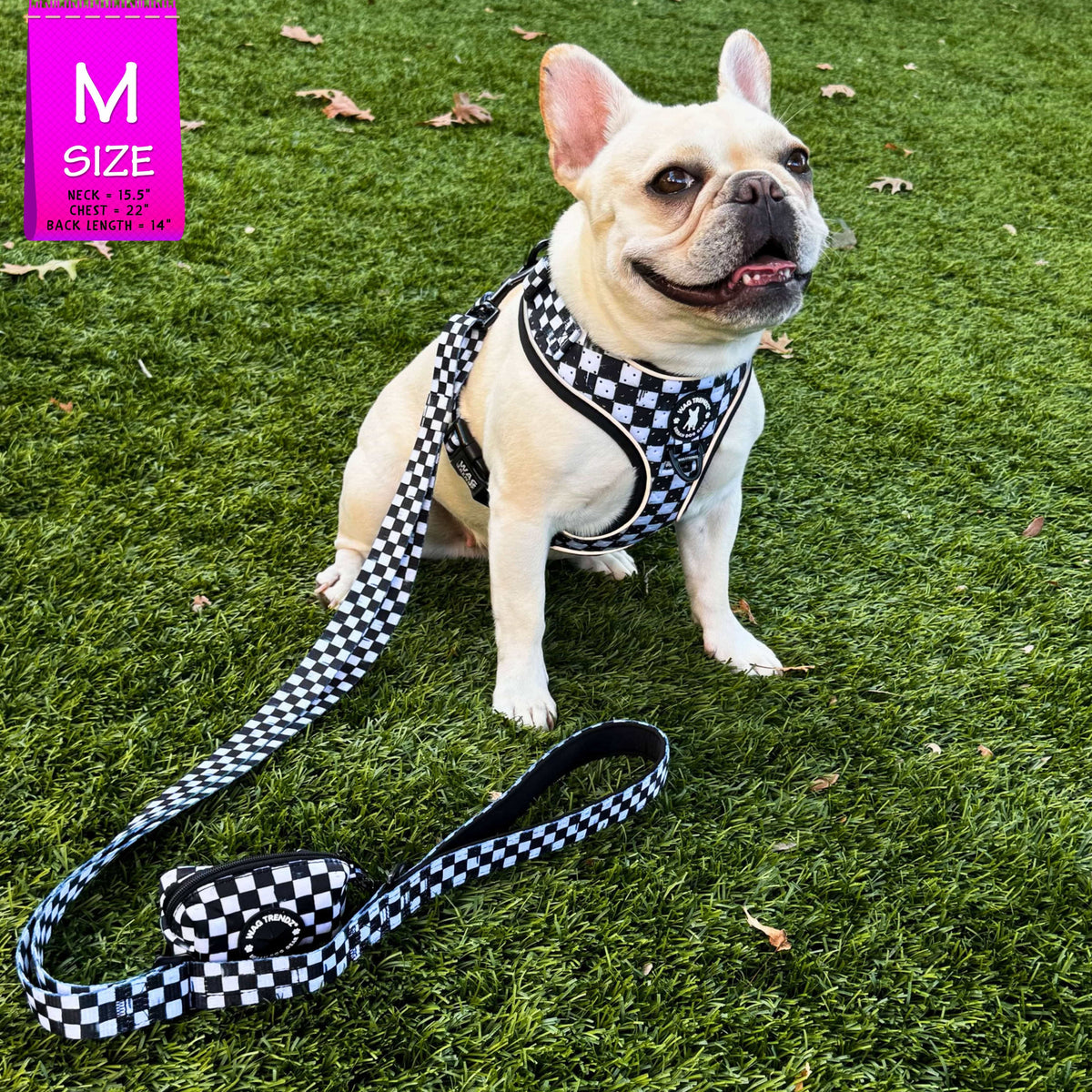 Cooling dog harness in black and white checkered pattern on a cream French Bulldog with matching leash and poop bag holder sitting outdoors in the grass