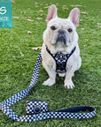 Cooling Dog Harness With Handle | NeoCool™ Grid & Grit