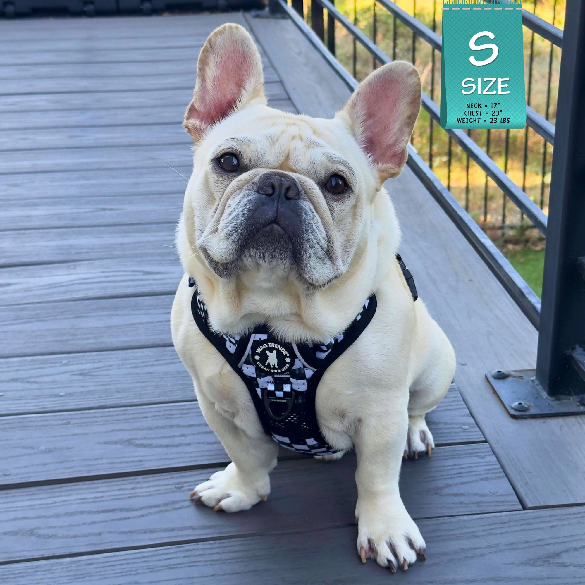 Cooling Dog Harness With Handle | NeoCool™ Grid &amp; Grit
