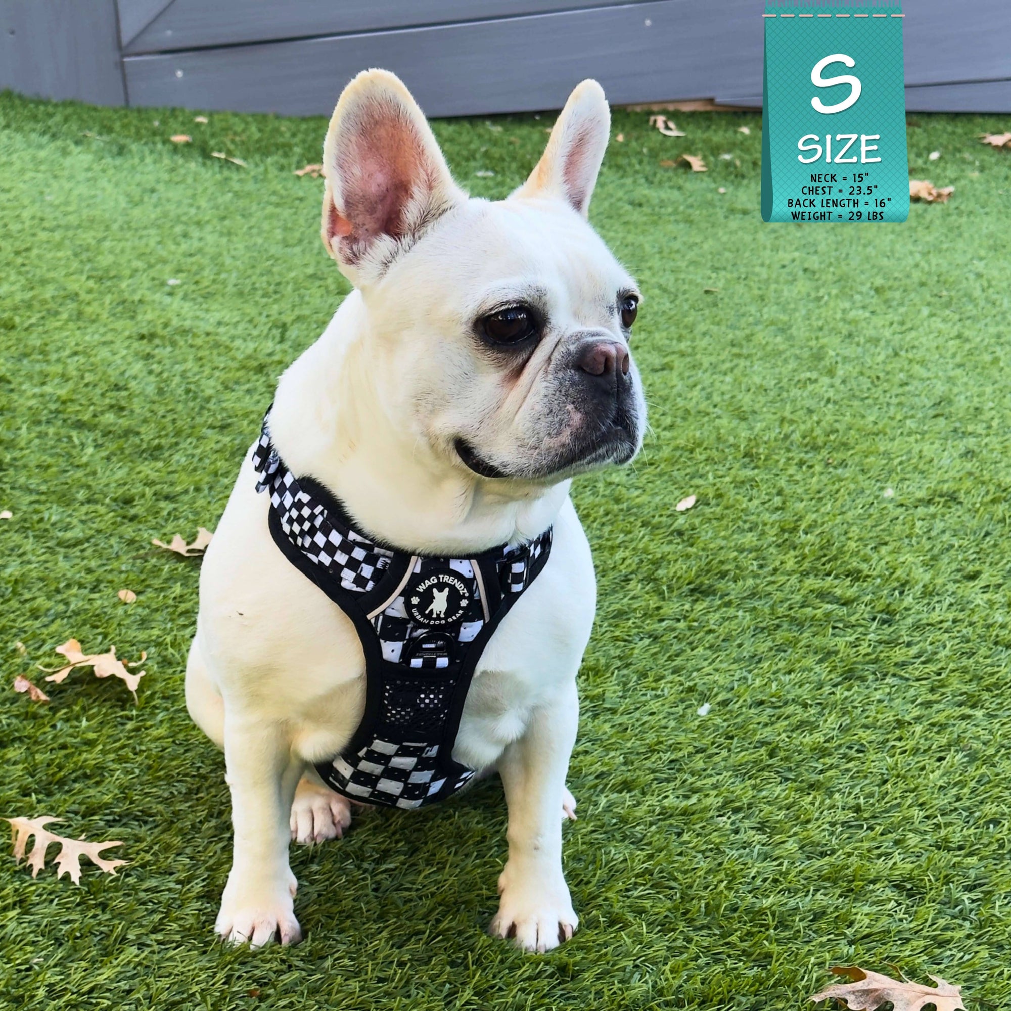 Cooling Dog Harness With Handle | NeoCool™ Grid &amp; Grit