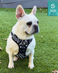 Cooling Dog Harness With Handle | NeoCool™ Grid & Grit