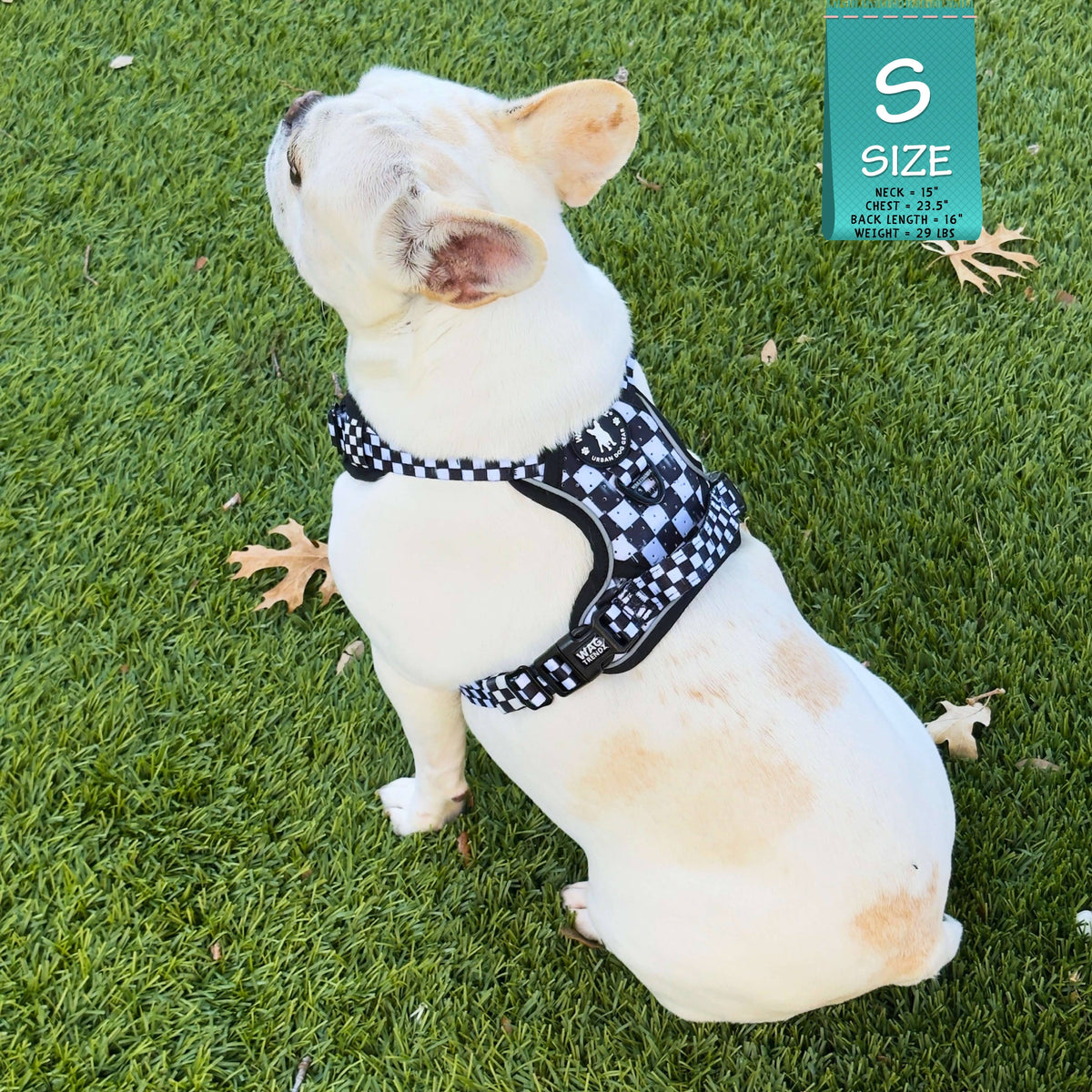 Cooling Dog Harness With Handle | NeoCool™ Grid &amp; Grit