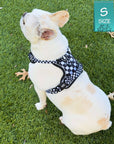 Cooling Dog Harness With Handle | NeoCool™ Grid & Grit