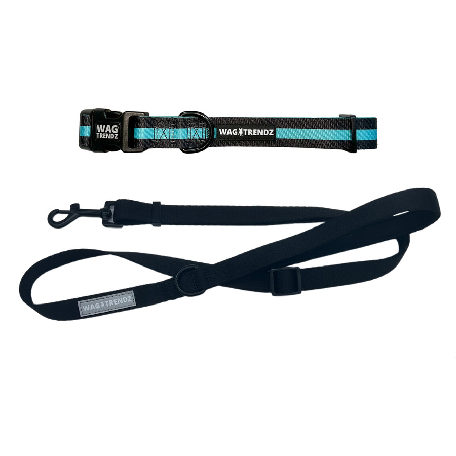 Dog Leash and Collar Set - Black Dog Collar with bold Teal Stripe with solid black adjustable leash in medium - against solid white background - Wag Trendz