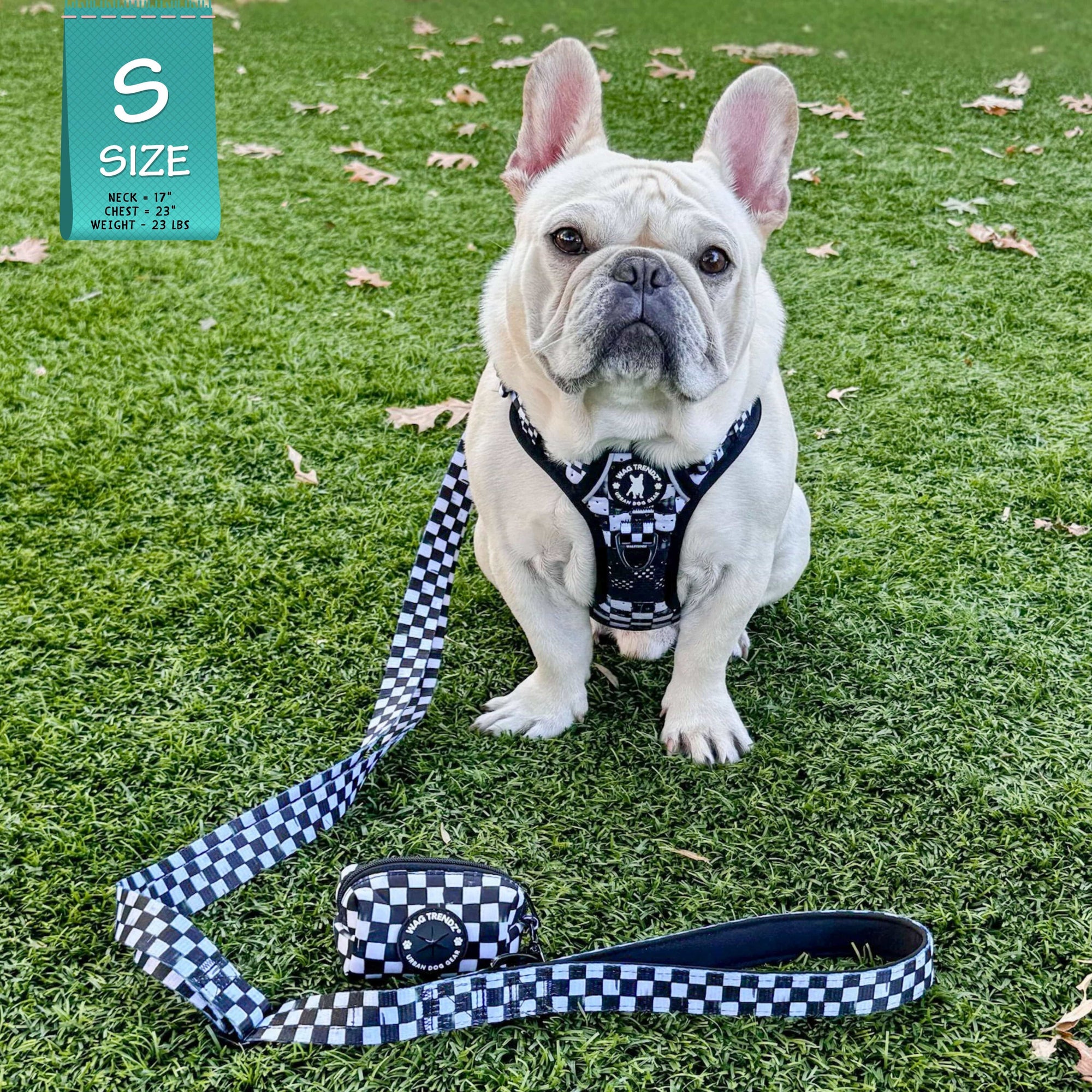 Dog poop bag holder with matching white and black checkered cooling dog harness and leash worn by a French Bulldog