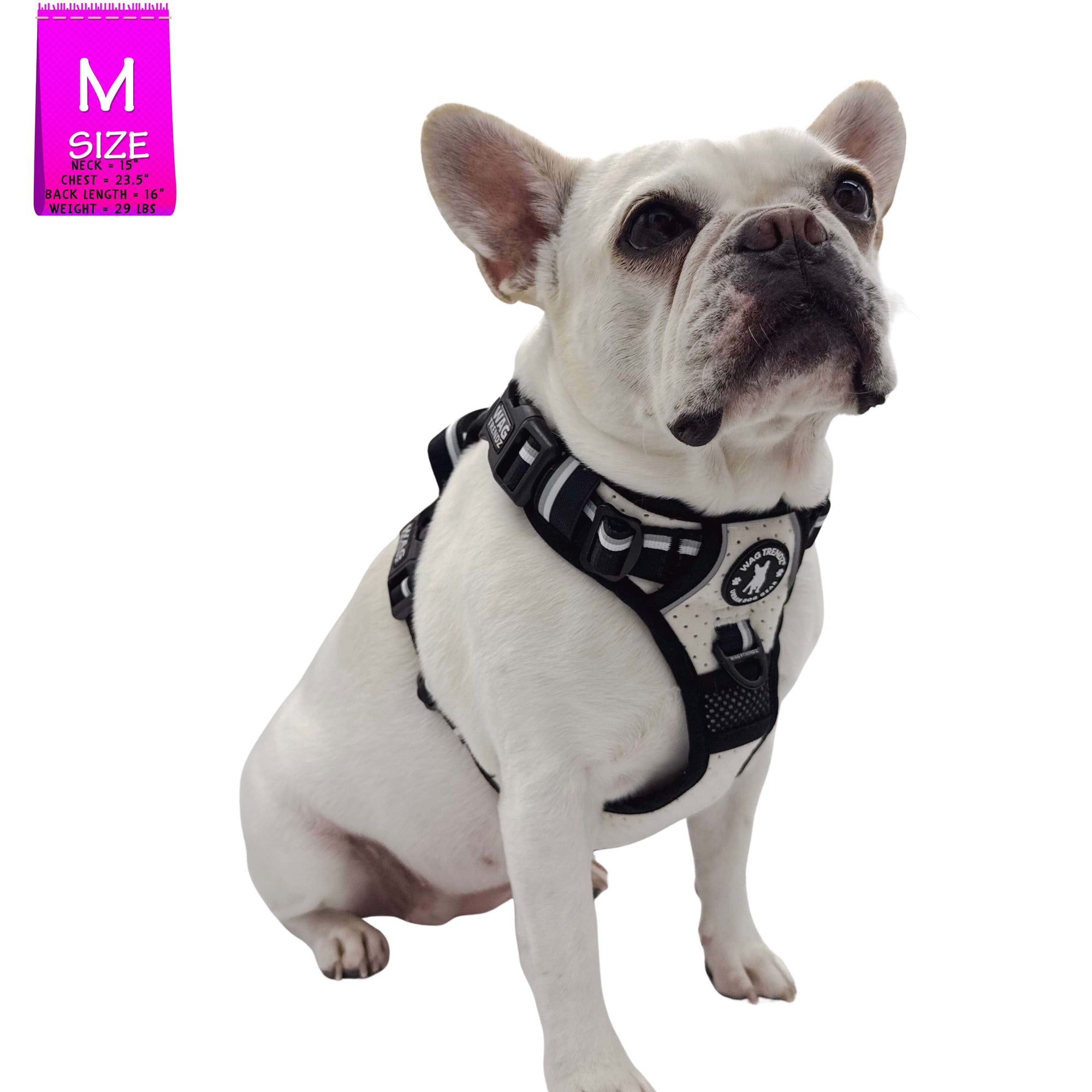 French Bulldog wearing a NeoCool™ Sport No Pull Dog Harness With Handle in white with black and gray accents on a white background