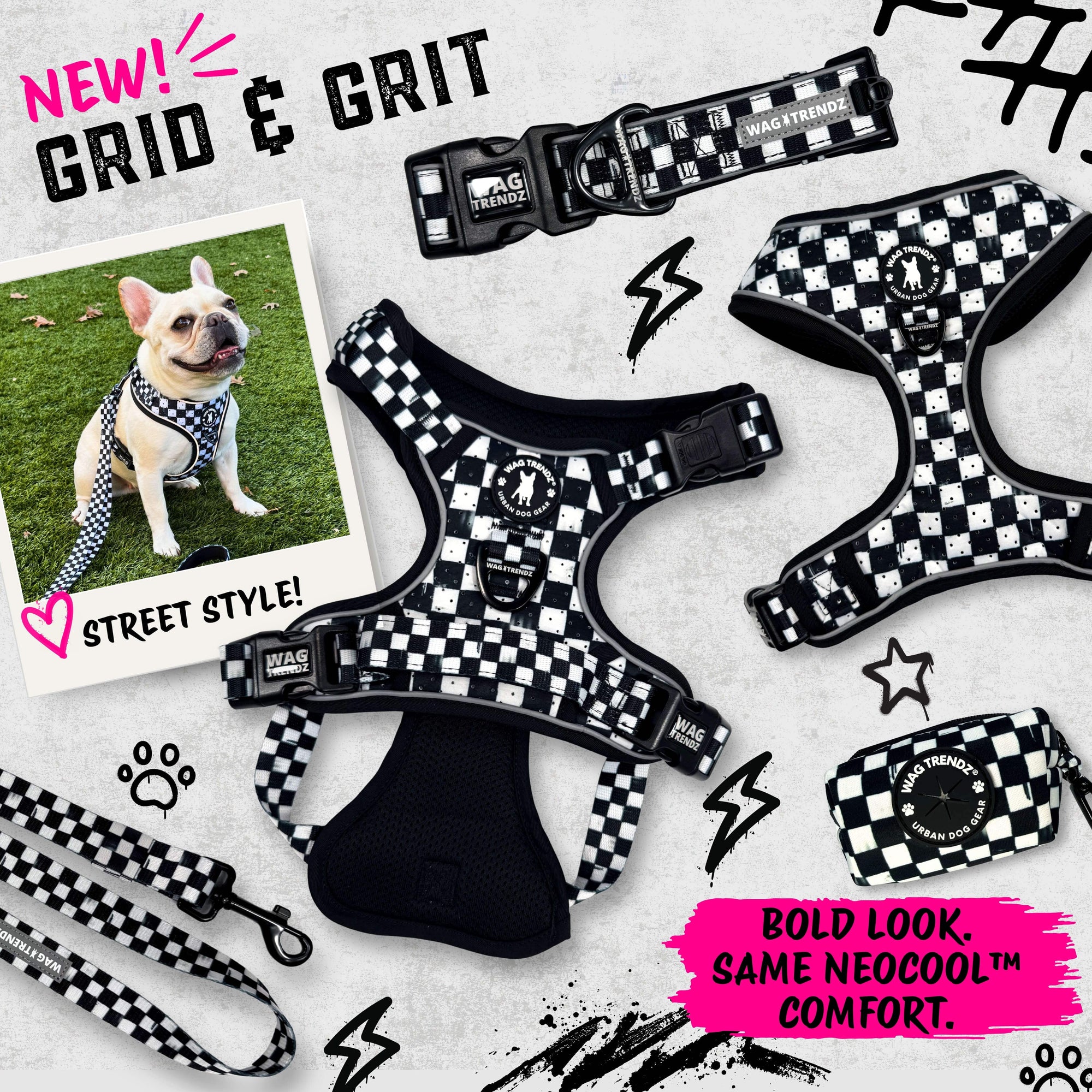 Black and white checkered dog harness, leash, and poop bag holder set with French Bulldog wearing checkered harness